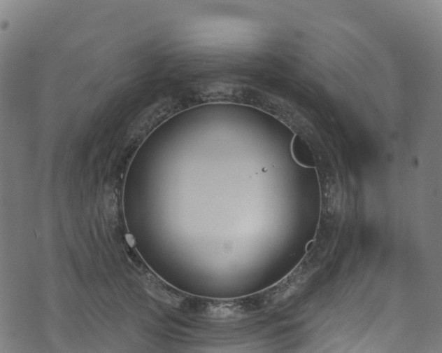 X0000070880753200606231342