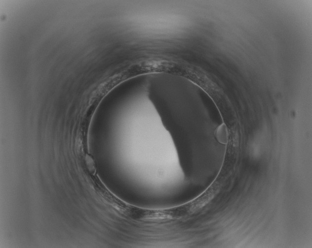 X0000070880754200606231342