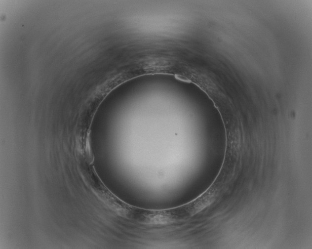 X0000070880755200606231342