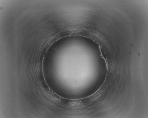 X0000070880756200606231342