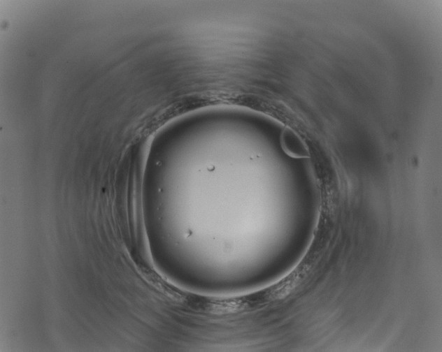 X0000070880757200606231342