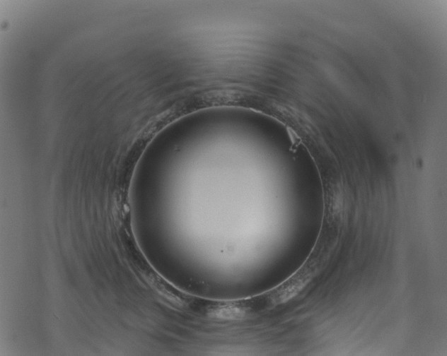 X0000070880759200606231342