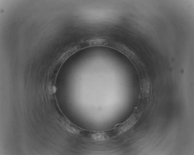 X0000070880761200606231342