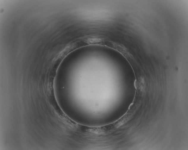 X0000070880763200606231342