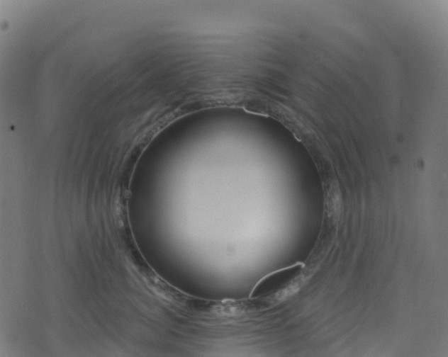 X0000070880764200606231342