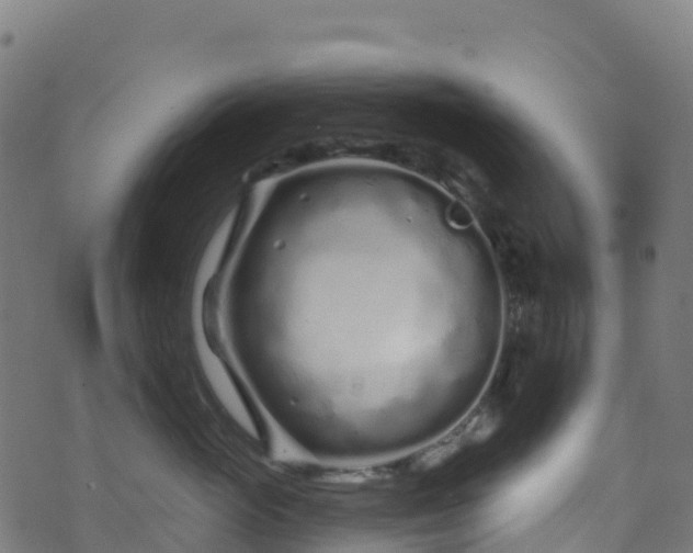 X0000070880765200606231343