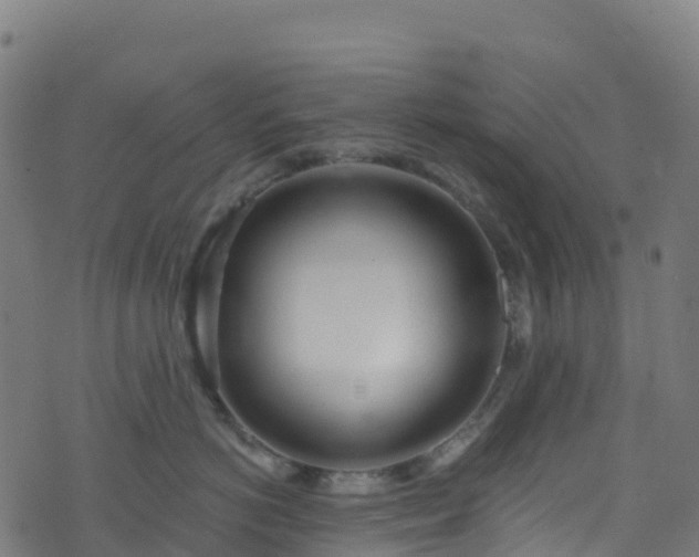 X0000070880766200606231343