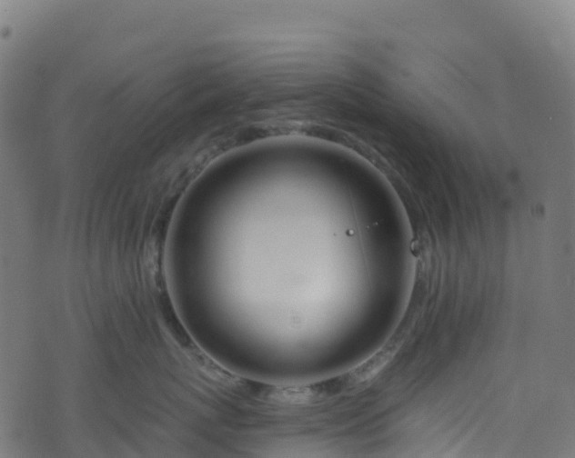 X0000070880767200606231343