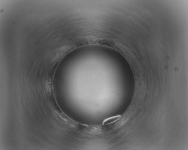 X0000070880768200606231343