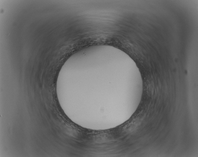 X0000070880769200606231342