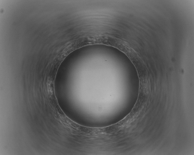 X0000070880770200606231342