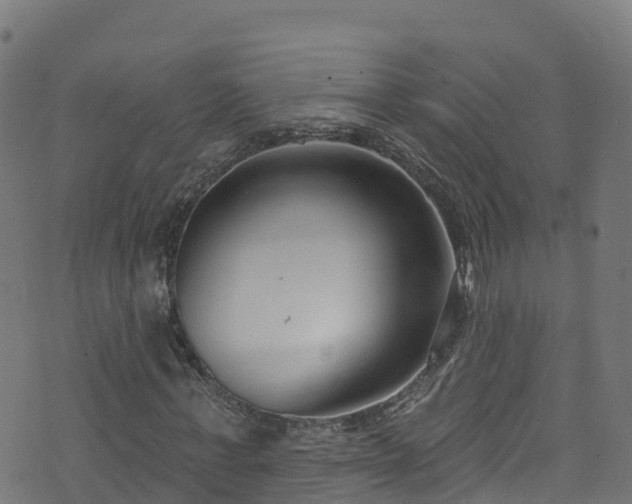 X0000070880771200606231342