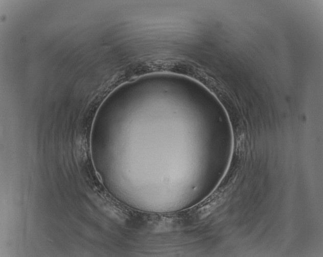 X0000070880772200606231342