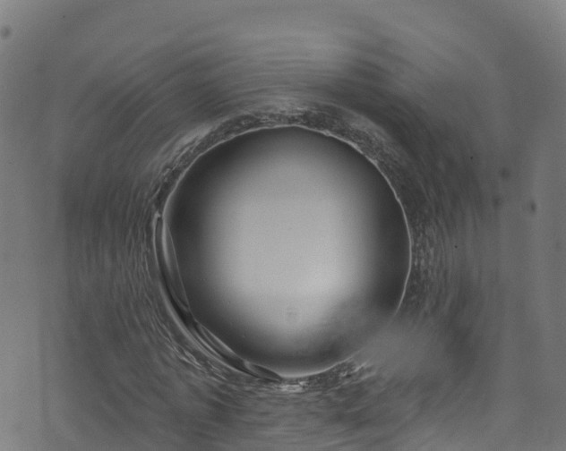 X0000070880773200606231342