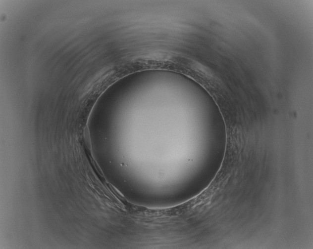 X0000070880774200606231342