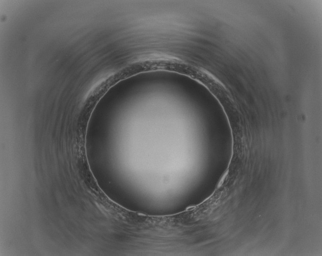 X0000070880775200606231342