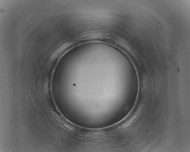 X0000070880778200606231342