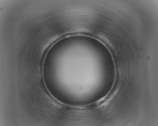 X0000070880781200606231342