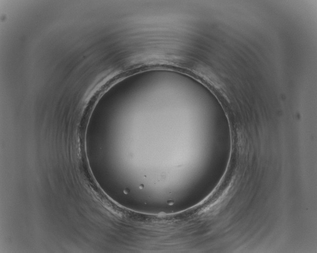 X0000070880782200606231342