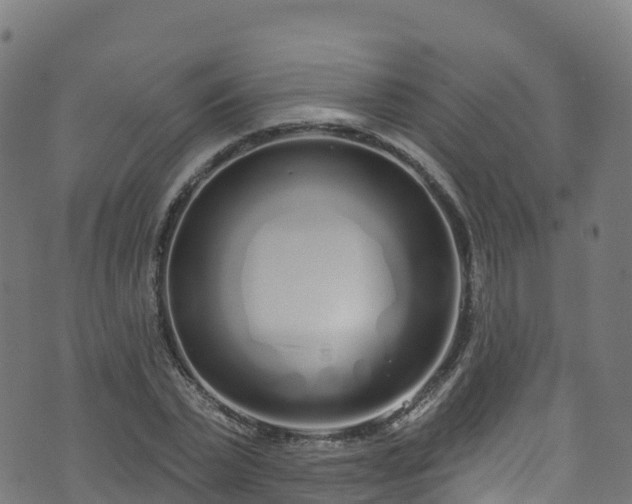 X0000070880783200606231342