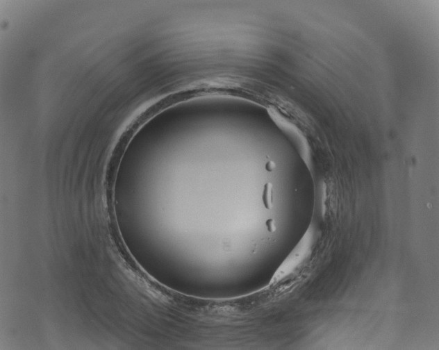 X0000070880784200606231342