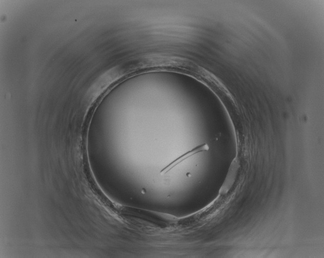 X0000070880786200606231342