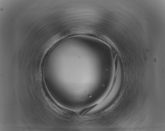 X0000070880787200606231341