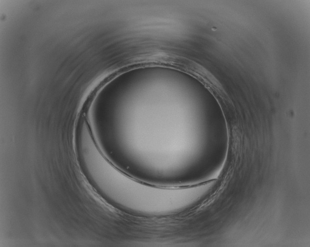 X0000070880788200606231341