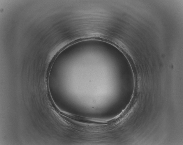 X0000070880789200606231341