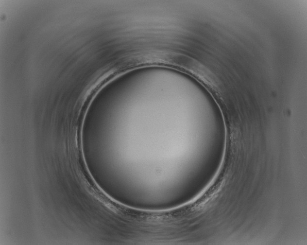 X0000070880790200606231341