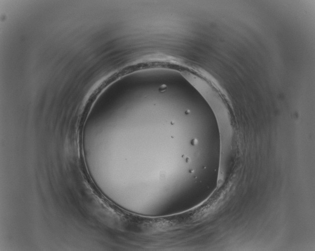 X0000070880791200606231341