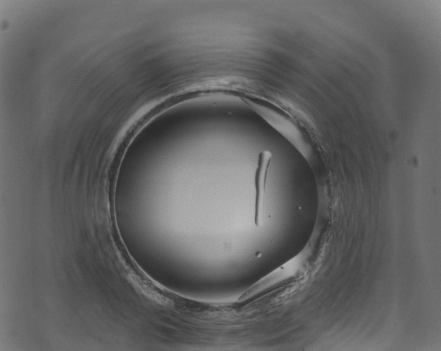 X0000070880792200606231341