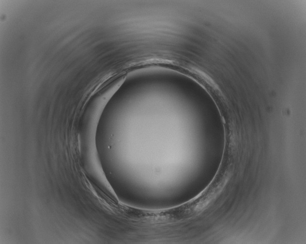 X0000070880793200606231341