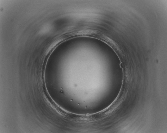 X0000070880794200606231341