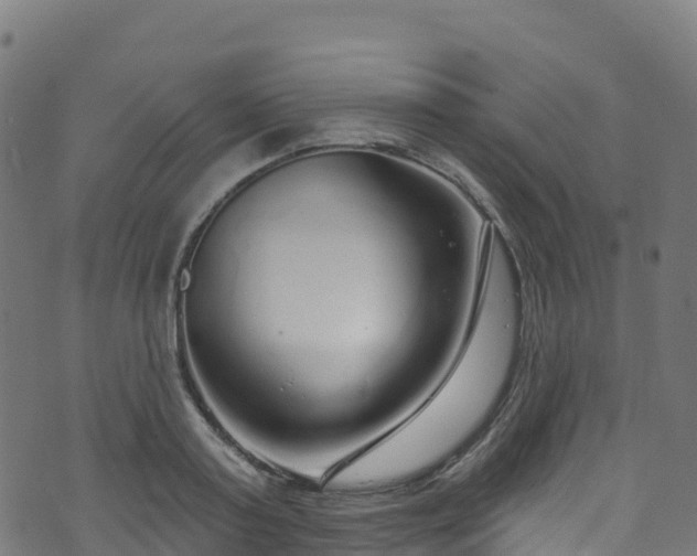 X0000070880795200606231341