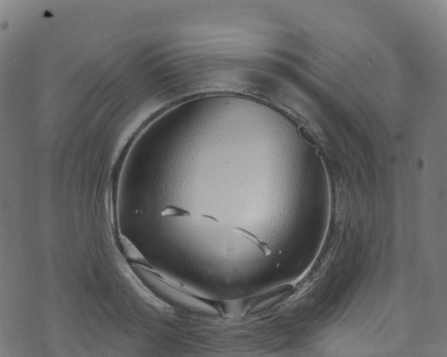 X0000070880796200606231341