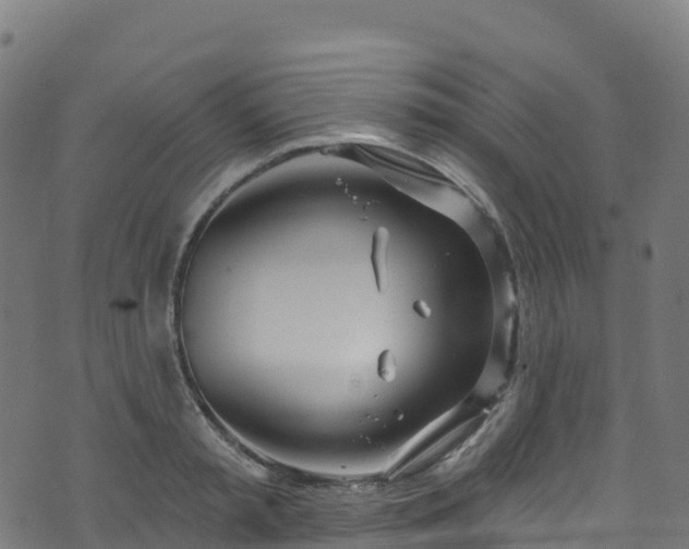 X0000070880797200606231341