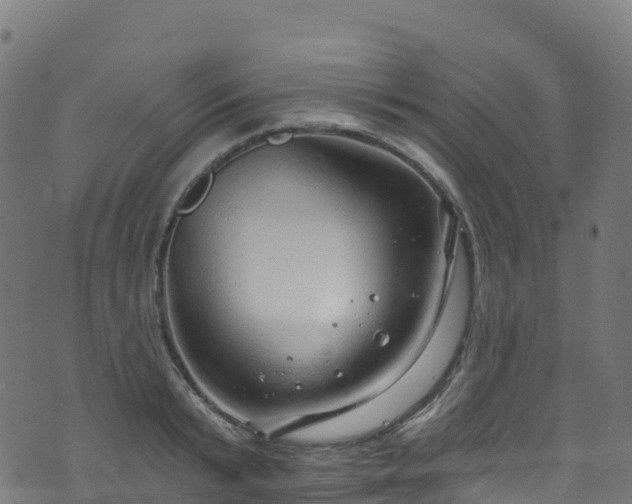 X0000070880799200606231341