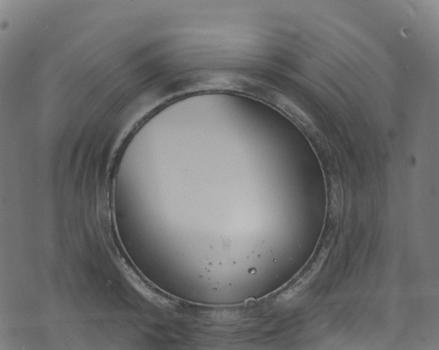 X0000070880800200606231341