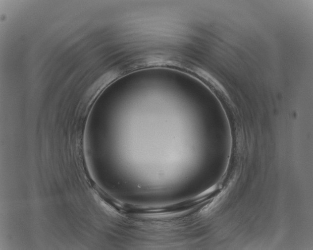 X0000070880801200606231341