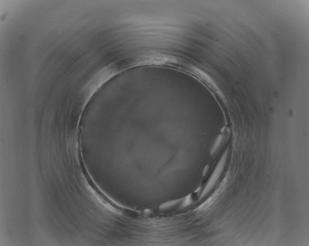 X0000070880802200606231341