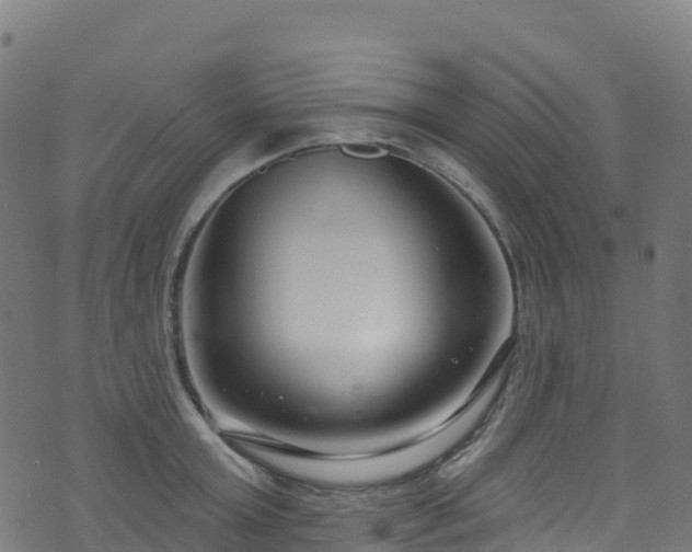 X0000070880803200606231341