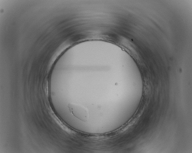 X0000070880804200606231341