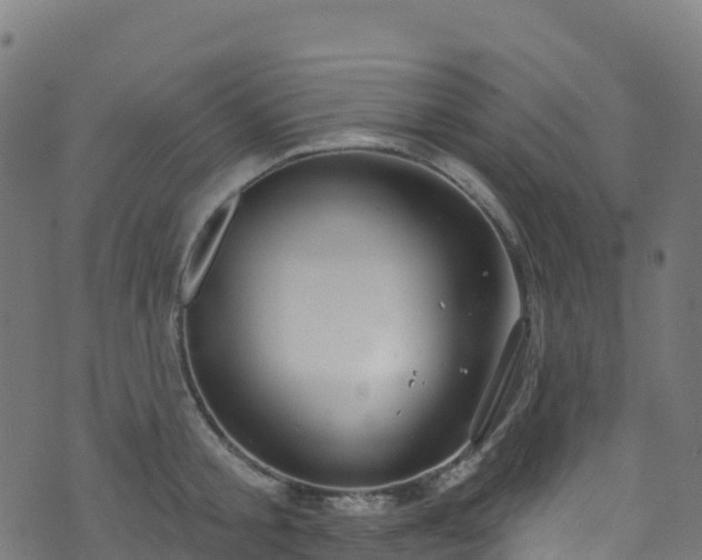 X0000070880805200606231341