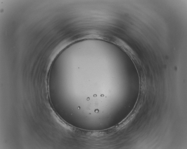 X0000070880808200606231341