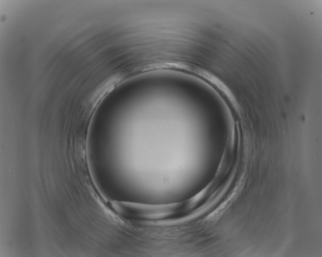 X0000070880809200606231341