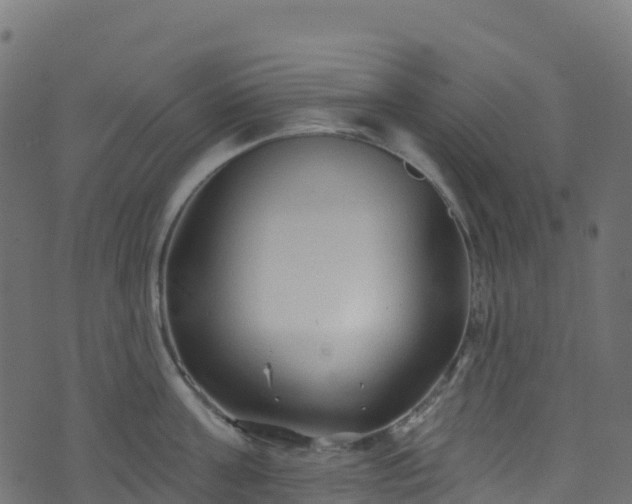 X0000070880811200606231341