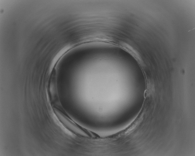 X0000070880812200606231341