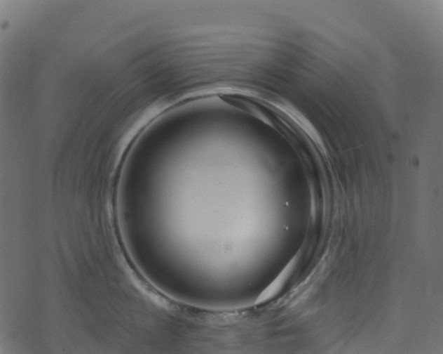 X0000070880813200606231341