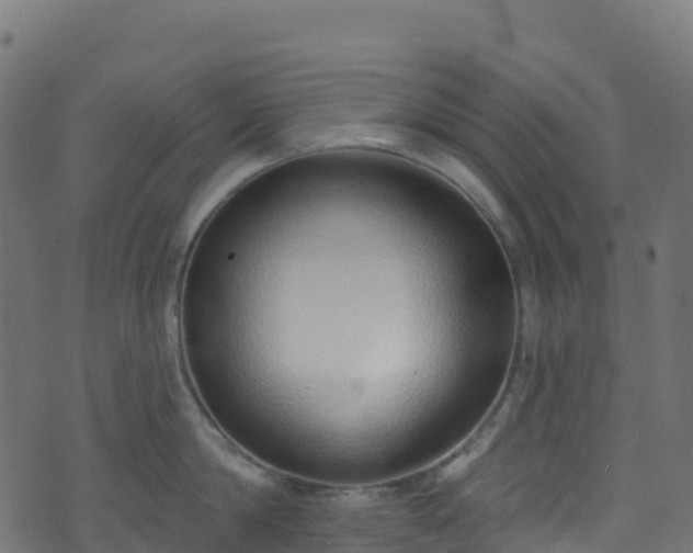 X0000070880814200606231341